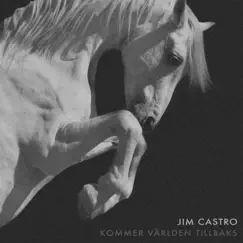 Kommer världen tillbaks - Single by Jim Castro album reviews, ratings, credits