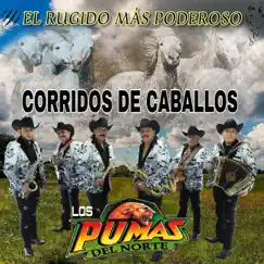 Corridos de Caballos (El Rugido Más Poderoso) by Los Pumas del Norte album reviews, ratings, credits