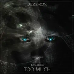 Too Much (Extended Version) Song Lyrics