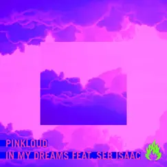 In My Dreams (feat. Seb Issac) - Single by Pinkloud album reviews, ratings, credits