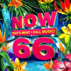 NOW That's What I Call Music, Vol. 66 by Various Artists album reviews, ratings, credits