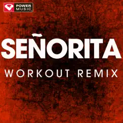 Señorita (Workout Remix) Song Lyrics