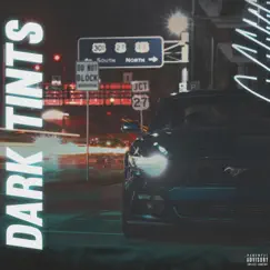 Dark Tints - Single by Biggie Da Don album reviews, ratings, credits