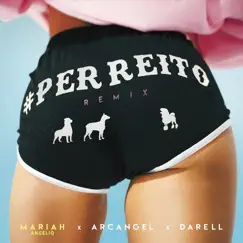 Perreito (Remix) - Single by Mariah Angeliq, Arcángel & Darell album reviews, ratings, credits