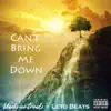 Can't Bring Me Down - Single album lyrics, reviews, download