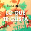 Lo Que Te Gusta - Single album lyrics, reviews, download