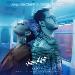 What Other People Say (Sam Feldt Remix) - Single by Sam Fischer, Demi Lovato & Sam Feldt album reviews, ratings, credits