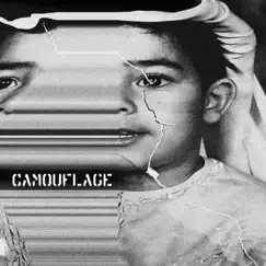 Camouflage - Single by BEE album reviews, ratings, credits