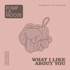 What I Like About You - Single by Pomplamoose album reviews, ratings, credits