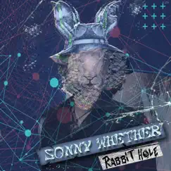 Rabbit Hole - Single by Sonny Whether album reviews, ratings, credits