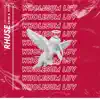 Wholesum Luv (feat. Kane & Vide) - Single album lyrics, reviews, download