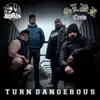 Turn Dangerous - Single album lyrics, reviews, download