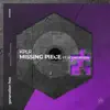 Missing Piece (feat. Roundrobin) - Single album lyrics, reviews, download