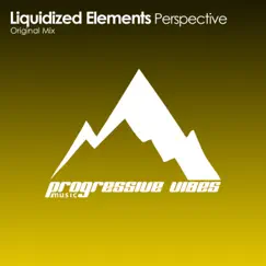 Perspective - Single by Liquidized Elements album reviews, ratings, credits