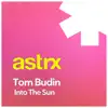 Into the Sun - Single album lyrics, reviews, download