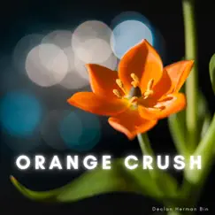 Orange Crush Song Lyrics