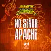 No Señor Apache - Single album lyrics, reviews, download