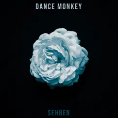 Dance Monkey - Single by Sehben album reviews, ratings, credits