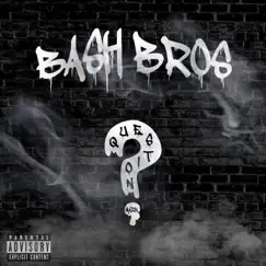 Question Mark by Bash Bros album reviews, ratings, credits