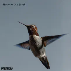 Hummingbird - Single by Paranoid album reviews, ratings, credits