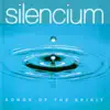 Silencium - Music of Inner Peace: 12. Silencium song lyrics