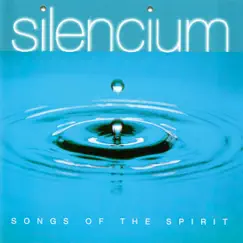 Silencium - Music of Inner Peace: 11. Night Flight Song Lyrics