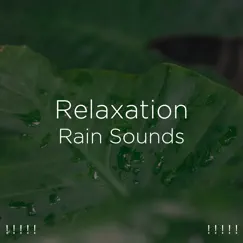 ! ! ! ! ! Relaxation Rain Sounds ! ! ! ! ! by Rain Sounds, Rain for Deep Sleep & BodyHI album reviews, ratings, credits