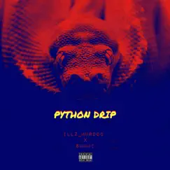 Python Drip (feat. Summi) Song Lyrics