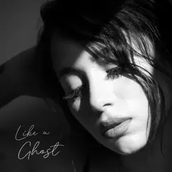 Like a Ghost - Single by Dani Zilbert album reviews, ratings, credits
