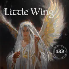 Little Wing (feat. Michael Angelo Batio) - Single by The Schneider Ross Band album reviews, ratings, credits