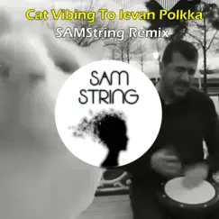 Cat Vibing To Ievan Polkka (Remix) Song Lyrics