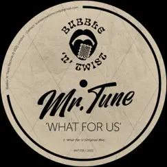 What For Us - Single by Mr.Tune album reviews, ratings, credits