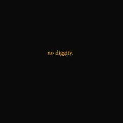 No Diggity Song Lyrics