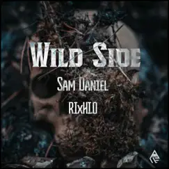Wild Side - Single by Sam Daniel & RIxHI.O album reviews, ratings, credits