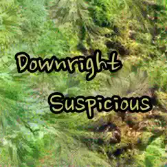 Downright Suspicious - Single by James Twose album reviews, ratings, credits