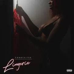 Lingerie (feat. Connceited) - Single by Blk Assassin album reviews, ratings, credits