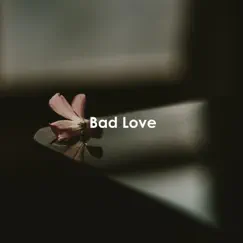 Bad Love - Single by Niwel album reviews, ratings, credits