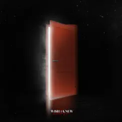 Wish I Knew - Single by Nitefall & ChillBazaar album reviews, ratings, credits