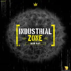 Industrial Zone - Single by Bob Ray album reviews, ratings, credits