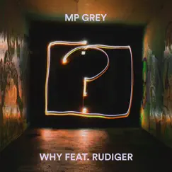 Why (feat. Rudiger) Song Lyrics