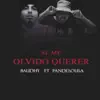 Se Me Olvido Querer (feat. Pandesousa) - Single album lyrics, reviews, download