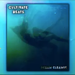 Ocean Cleanse Song Lyrics