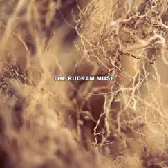 In the Moment - Single by The Rudram Muse album reviews, ratings, credits
