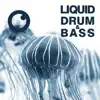Liquid Drum & Bass Sessions 2020 Vol 33 album lyrics, reviews, download