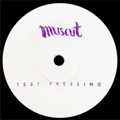 Test Pressing - EP by Nikolaienko, Yuri Lugovskoy & Fleischesmarkt album reviews, ratings, credits