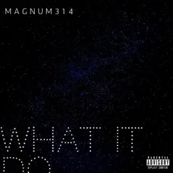 What It Do - Single by MAGNUM314 album reviews, ratings, credits