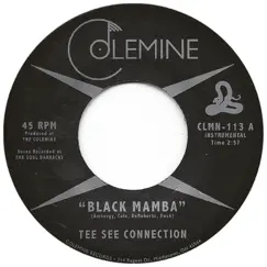 Black Mamba - Single by Tee See Connection album reviews, ratings, credits
