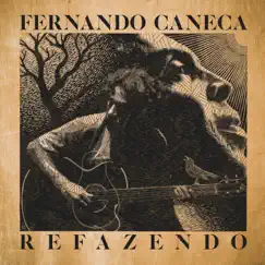 Lamento Sertanejo (feat. Paulinho Moska & Ricardo Vignini) Song Lyrics