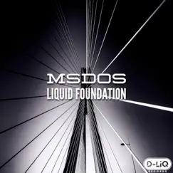 Liquid Foundation - Single by MsDoS album reviews, ratings, credits