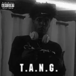T.A.N.G. - EP by MikeyTang album reviews, ratings, credits